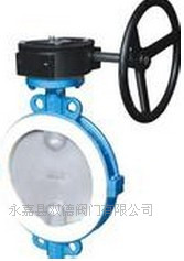 襯氟對夾式蝶閥
